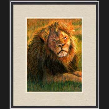 Cecil the Lion, framed pastel portrait by Carol Sakai