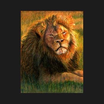 unframed Cecil the Lion pastel portrait by Carol Sakai