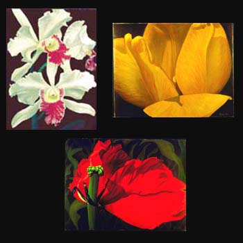 Floral Oil Paintings created by Carol S Sakai