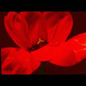 Tulip Flight, Floral Oil Painting created by Carol Sakai
